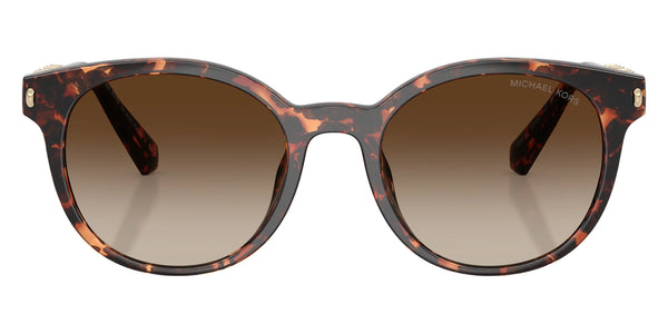 Dark Tortoise / Smoke Gradient / 53-20-140