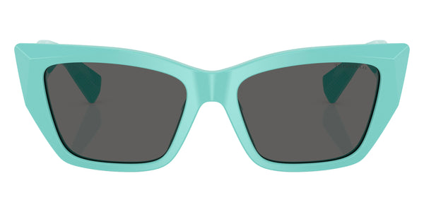 TIFFANY Blue / Dark Gray / 54-17-140