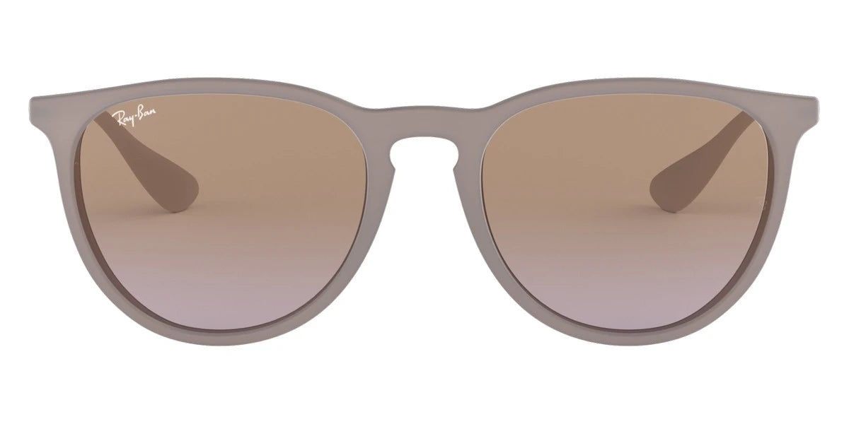 Ray-Ban RB4171 Erika Classic Wayfarer Sunglasses | EyeOns.com