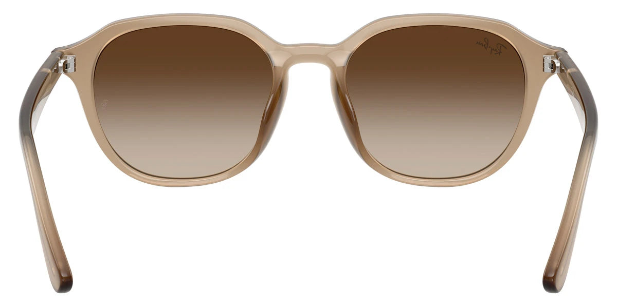 Ray-Ban - RB4459D