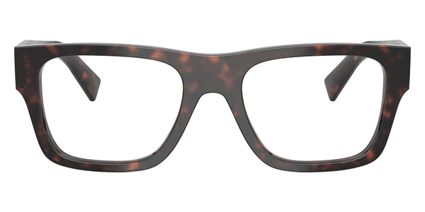 Root Tortoise / 52-20-145