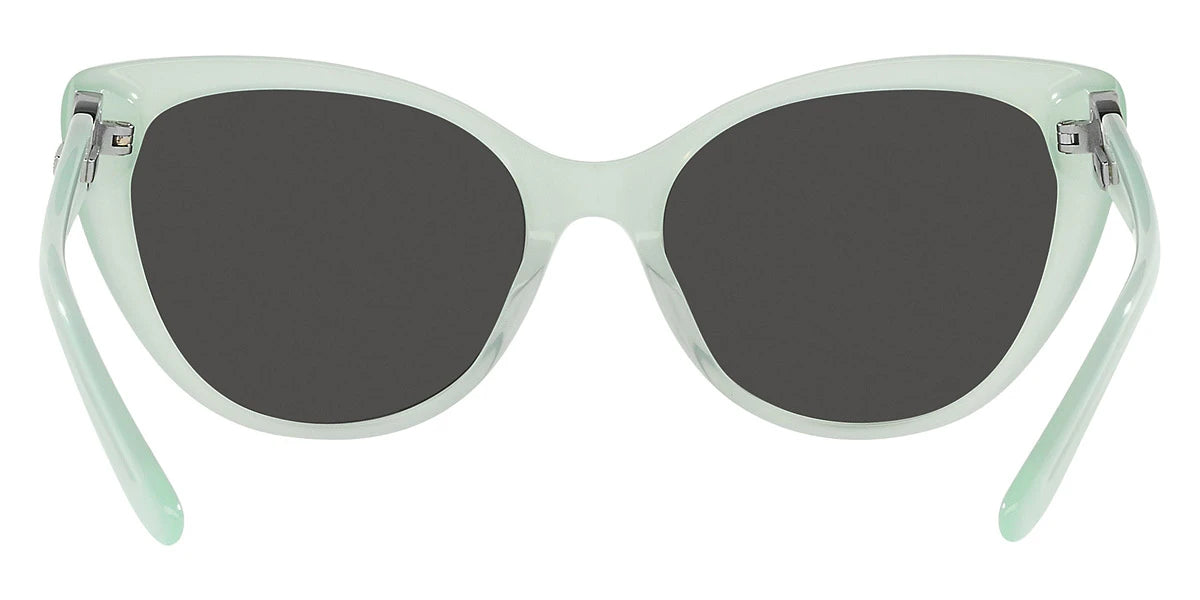 RALPH LAUREN RL8215BU 608287 56 - Opal Mint / Gray