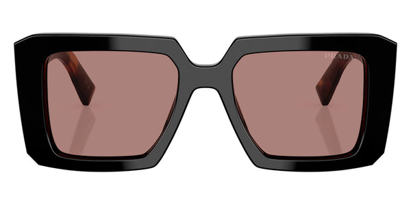 Black/Mauve Tortoise/Pink Tortoise / Light Brown / 51-19-140