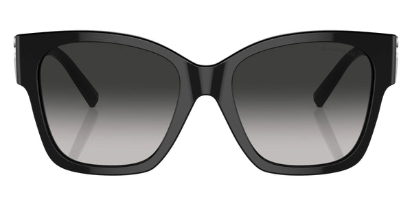 Black / Gray Gradient / 54-18-135