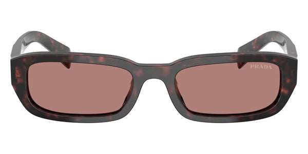 Root Tortoise / Light Brown / 53-19-145