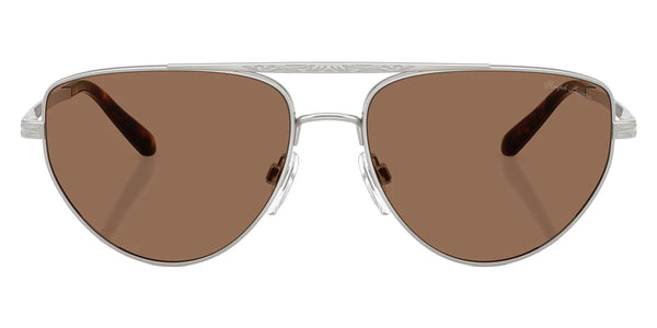 Shiny Silver / Brown / 59-16-145