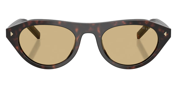 Root Tortoise / Light Brown / 52-19-145