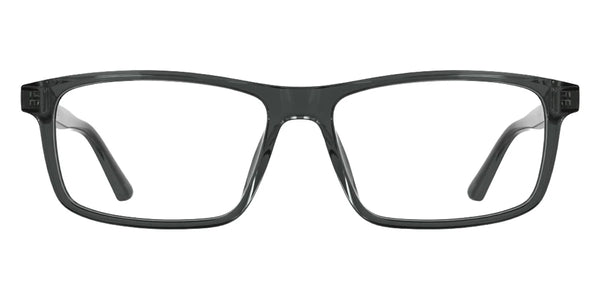 Transparent Gray / 55-16-145