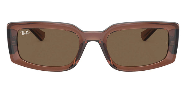 Transparent Brown / Dark Brown / 54-21-140