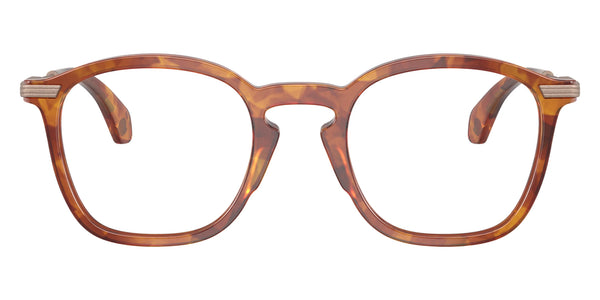 Shiny Brown Tortoise / 50-20-145