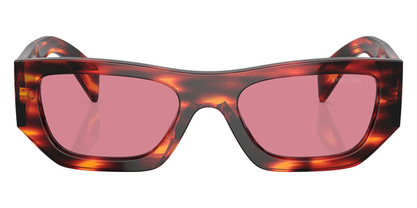 Havana Red / Dark Violet / 53-20-145