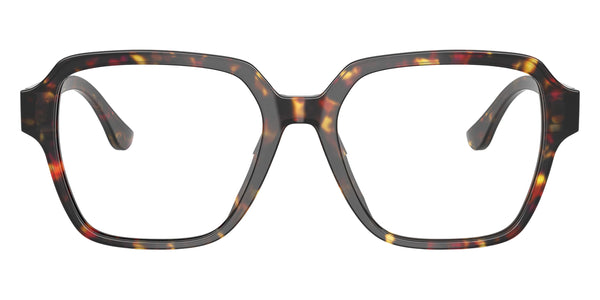 Yellow Tortoise / 53-18-145