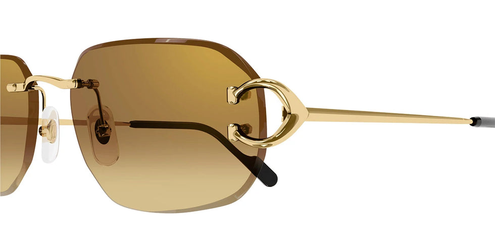 Cartier - CT0468S Signature C de Cartier