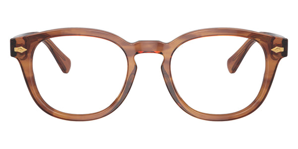 Shiny Light Brown Striped / 49-20-145