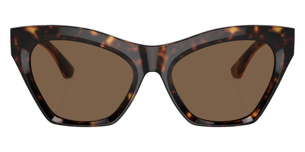 Dark Havana / Dark Brown / 55-18-140