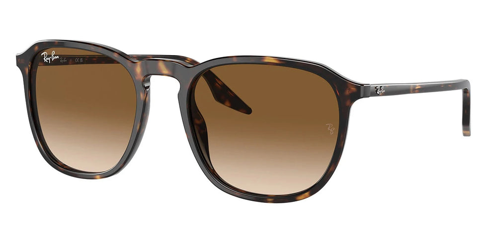 Ray-Ban - RB2203