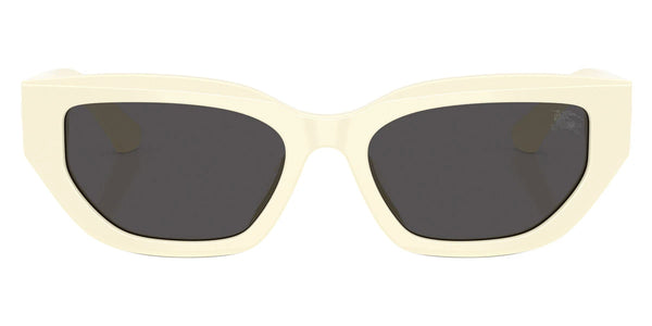 White / Dark Gray / 54-18-140