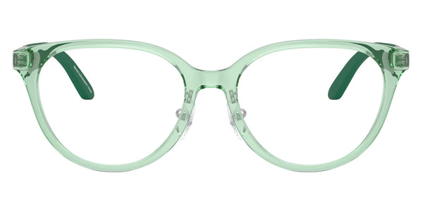 Shiny Transparent Green/Matte Silver / 46-15-130