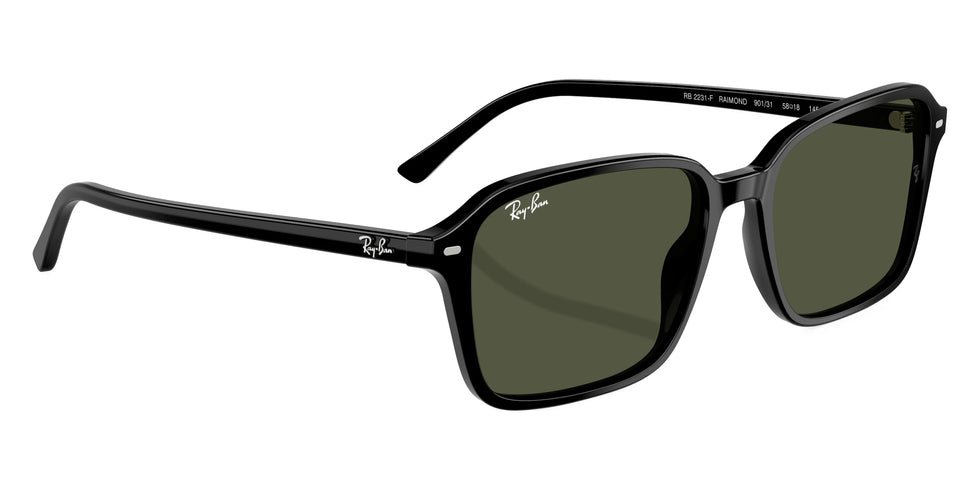 Ray-Ban - Raimond RB2231F