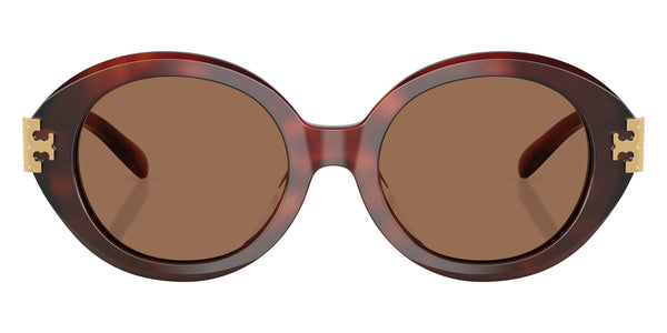 Gradient Tortoise / Dark Brown / 52-20-140