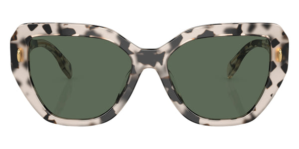 Tortoise / Dark Green / 55-17-140