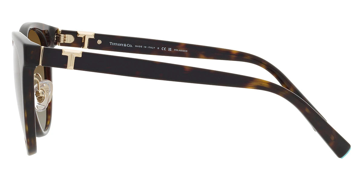 TIFFANY TF4209D 8015T5 54 - Havana / Polarized Brown Gradient