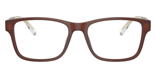 Shiny Opaline Brown/Top Brown/Crystal / 55-17-145