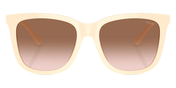 Shiny Cream / Gradient Brown / 55-18-145