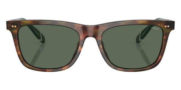 Shiny Brown Tortoise/Green / Bottle Green / 56-18-145