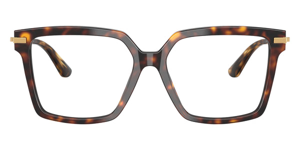 Havana/Gold / 54-16-140