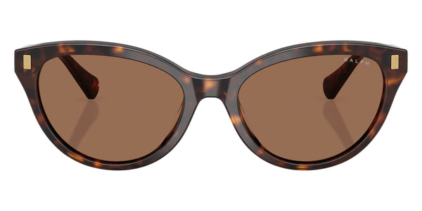 Shiny Dark Havana / Brown / 55-17-145