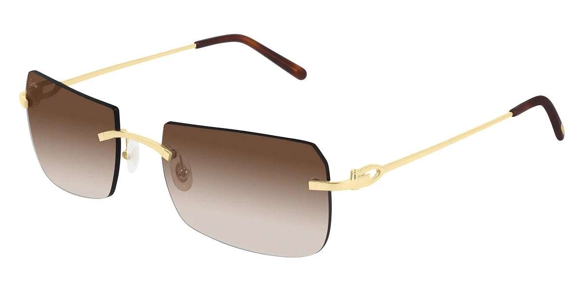 Cartier - CT0006RS Signature C de Cartier