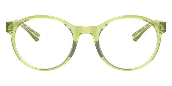 Polished Translucent Fern / 49-20-139