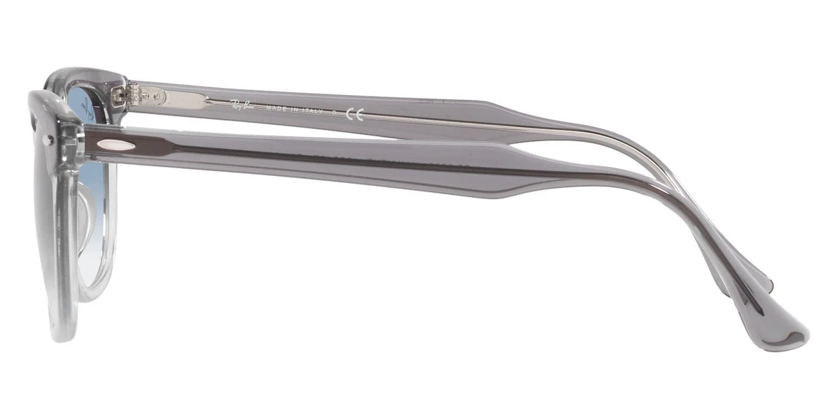 Ray-Ban - Hawkeye RB2298