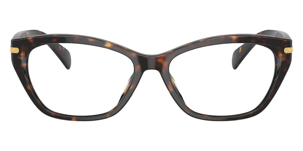 Shiny Dark Havana / 55-16-145