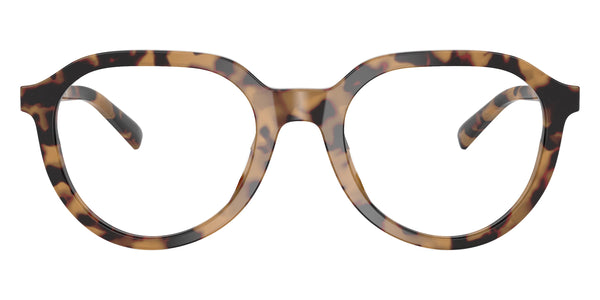 Vintage Tortoise / 53-21-145