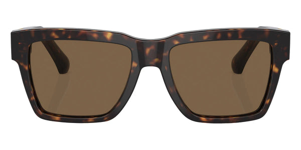 Havana / Dark Brown / 55-18-145