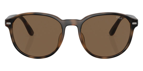 Shiny Havana / Brown / 54-19-145