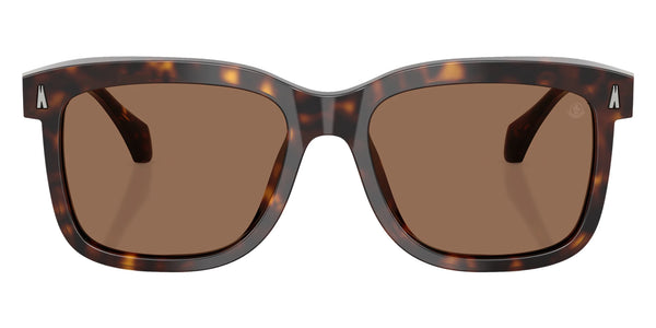 Shiny Havana / Brown Solid / 54-17-140