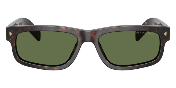 Root Tortoise / Polarized Green / 55-17-145