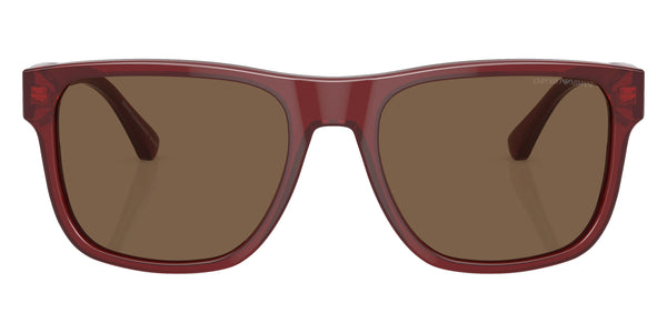 Transparent Bordeaux / Dark Brown / 56-19-145
