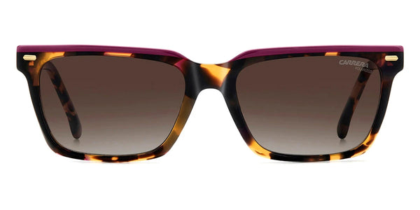 Havana Plum / Brown Shaded Polarized / 55-17-140