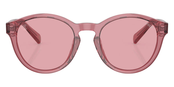 Shiny Transparent Rose / Rose / 45-18-125