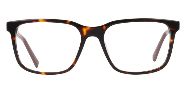 Dark Tortoise / 55-17-145