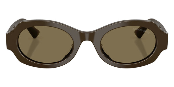 Brown / Light Brown / 49-21-140