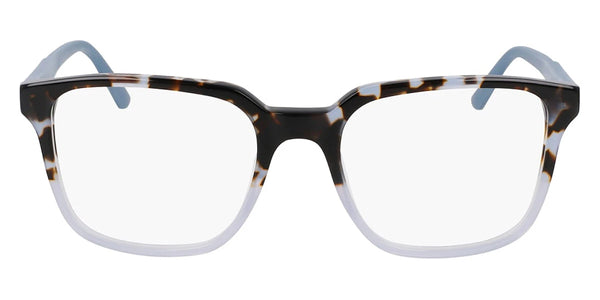 Blue Tortoise / 53-19-145