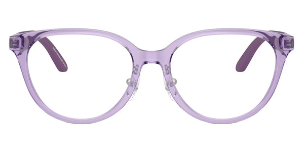 Shiny Transparent Violet/Matte Silver / 46-15-130