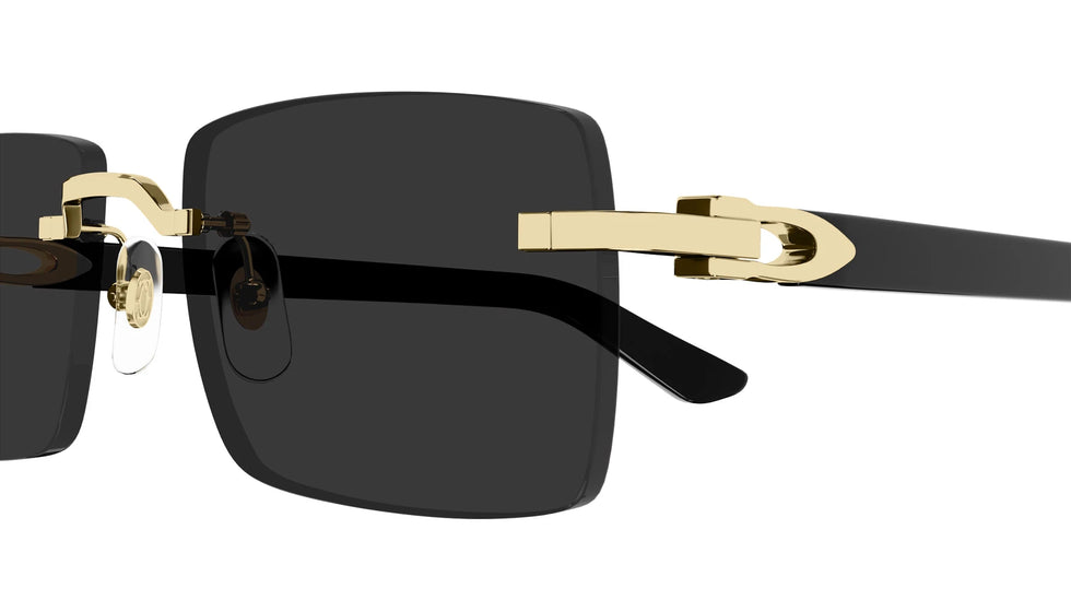 Cartier - CT0579S C Décor