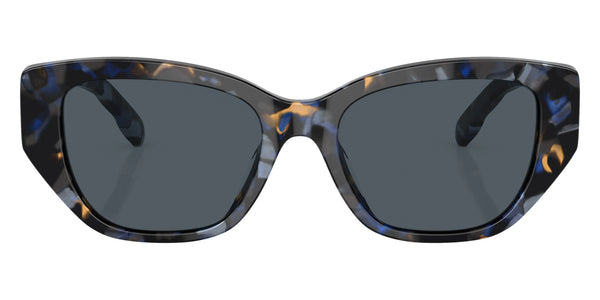 Blue Tortoise / Dark Gray / 53-18-140