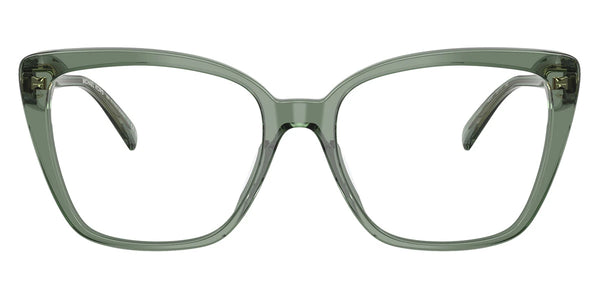 Smokey Olive Transparent / 53-17-140